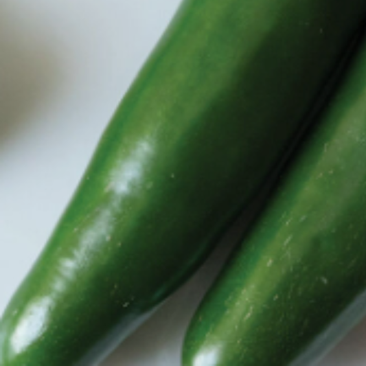 *2 Sizes* Organic Altiplano Serrano Pepper plant