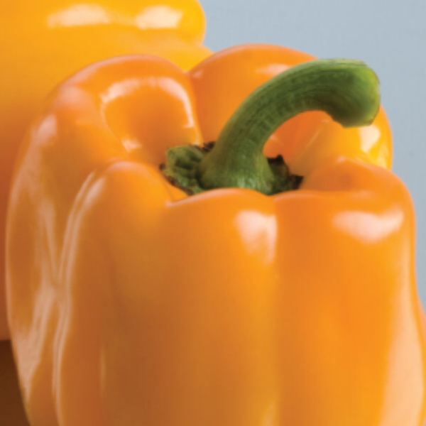 Organic Sweet Sunrise Bell Peppers